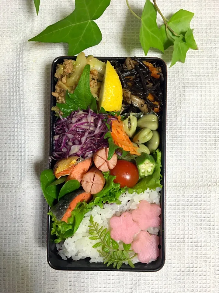 今日のお弁当|Mikaさん