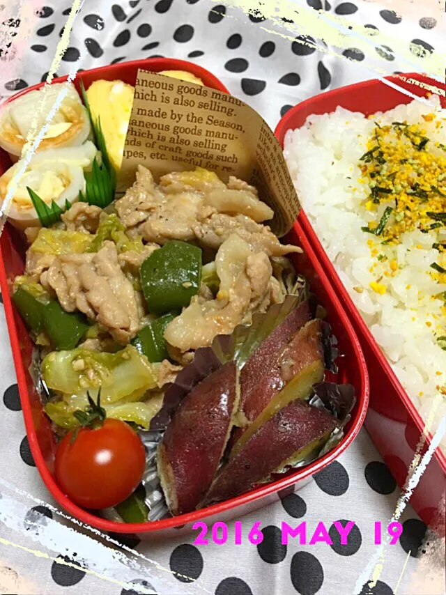 Snapdishの料理写真:５月１９日  息子弁当⚾︎|sesamiさん