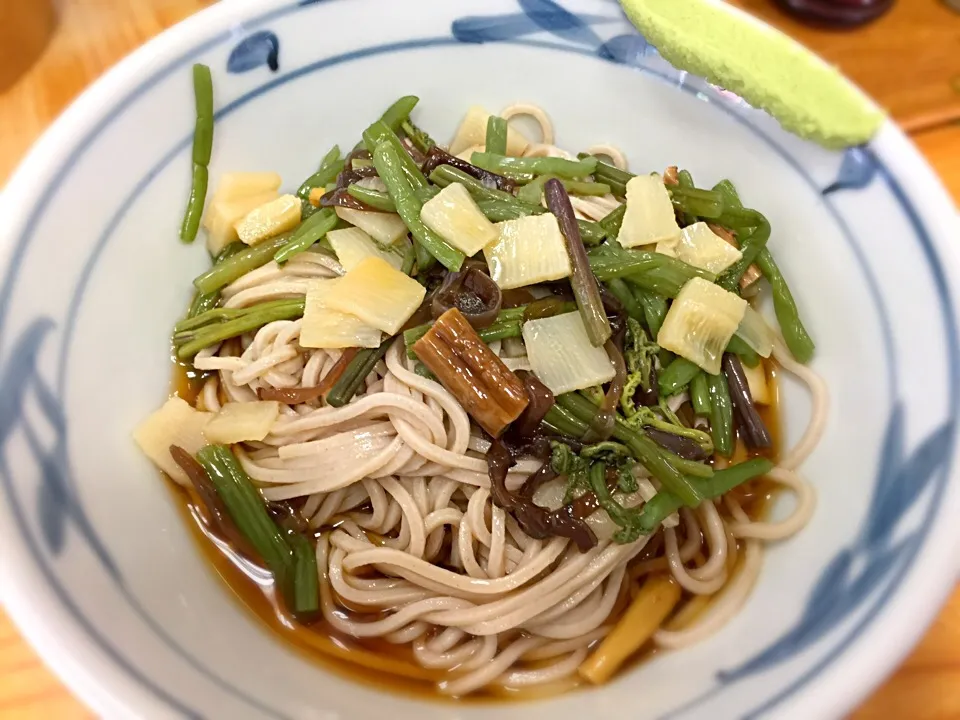 立ち食いそば手帳 名店120［首都圏編］加賀（初台）山菜冷やしそば|buhizouさん