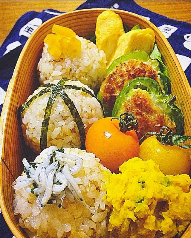 黄色と丸い弁当|いちかわ まいさん