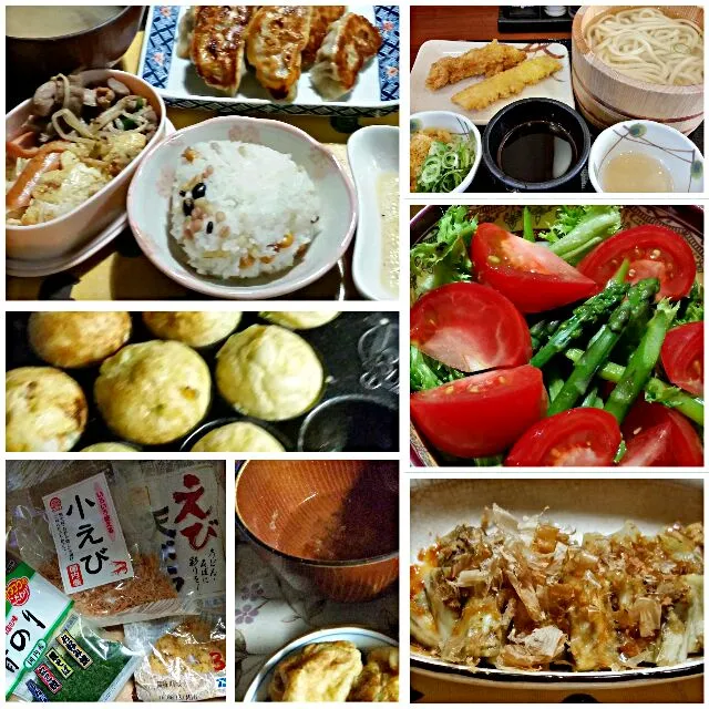 ５/11〜14の食卓|こやっこさん