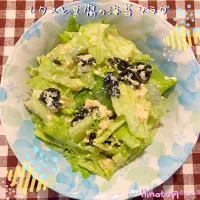 Snapdishの料理写真:レタスと豆腐の海苔サラダ|Hinataฅ˄·͈༝·͈˄さん