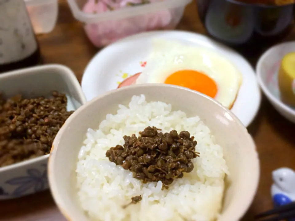 舌がピリピリッ

今日の朝食
実山椒の佃煮をご飯に。|Hiro Yanさん