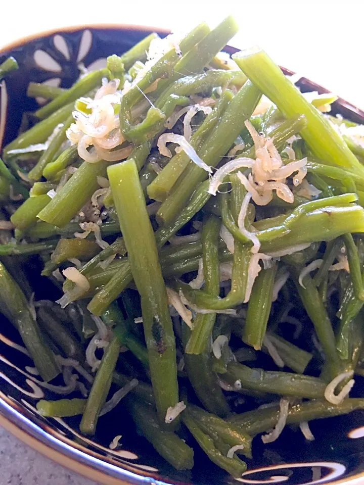 春の山菜よしなとちりめんじゃこの炒め煮〜😋|てんてんさん