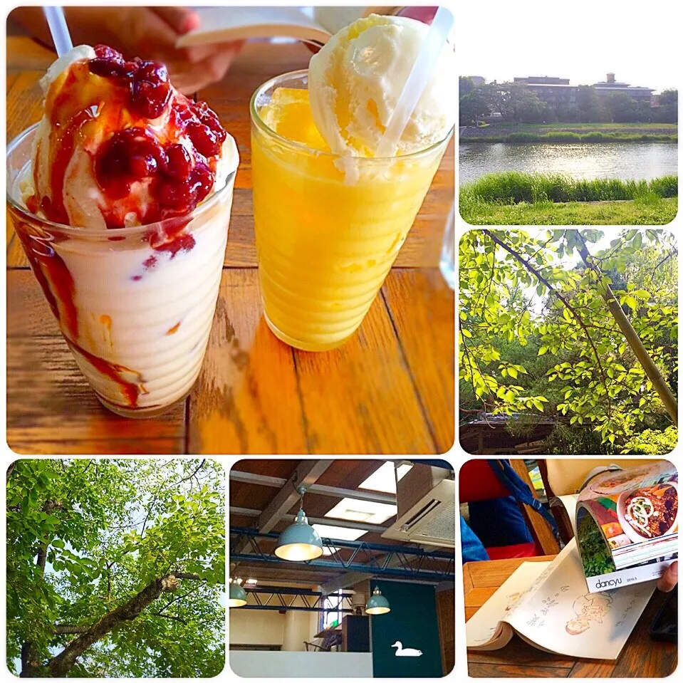 Snapdishの料理写真:Soybean flour shake with 黒蜜, Mango lassi〜♪ 鴨川🌿|angiee♡さん