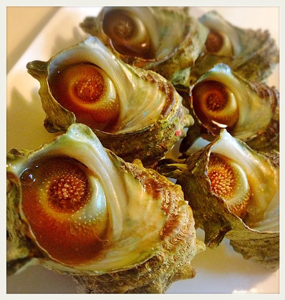 サザエのつぼ焼き。Grilled turban shells in their shells|toyamadaさん