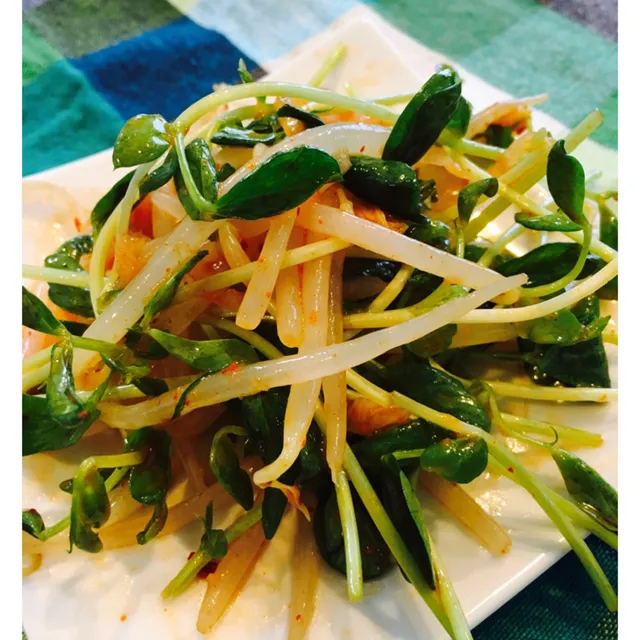 Snapdishの料理写真:SHIORINGO☆さんの豆苗とモヤシのキムチ中華風ナムル #レシピブログ #RecipeBlog|レシピブログさん