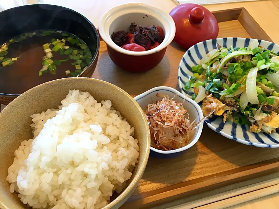 昼ごはん！|ぴっぱーさん