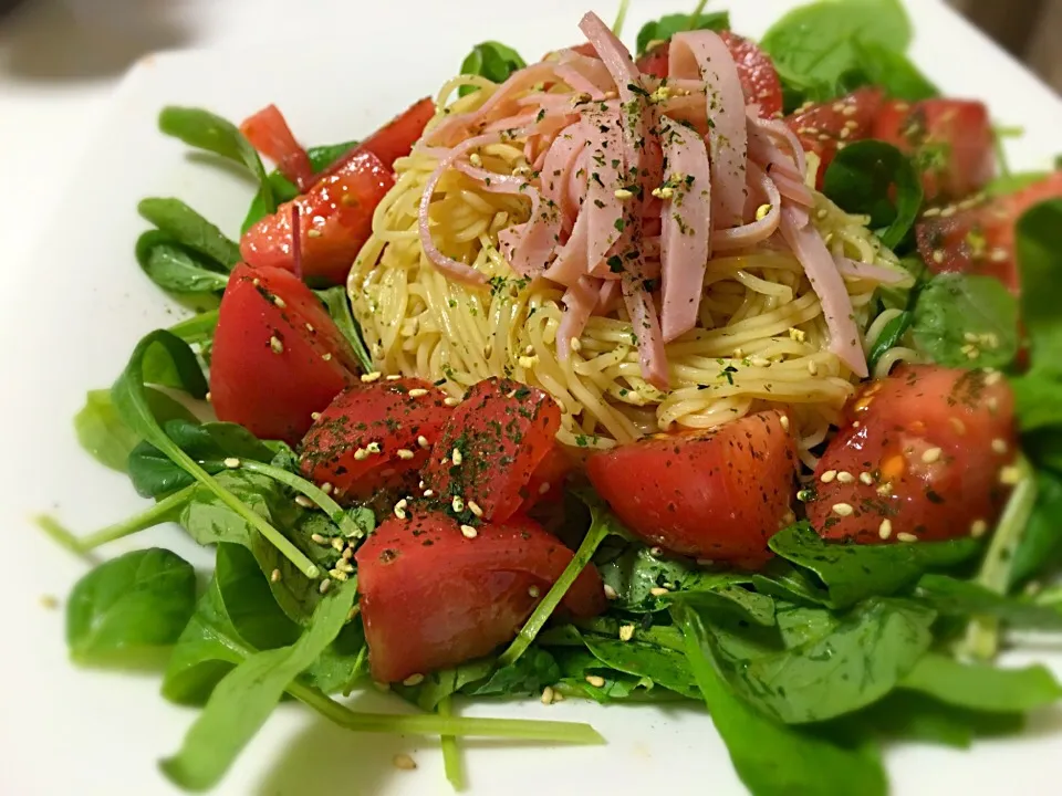 Snapdishの料理写真:サラダ冷麺|Yochipyさん