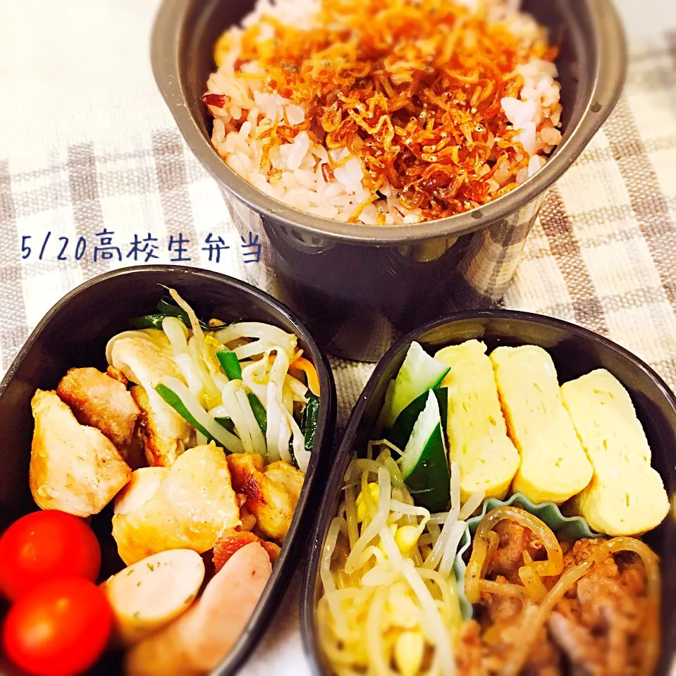 Snapdishの料理写真:5月20日高校生男子弁当|みかりんさん