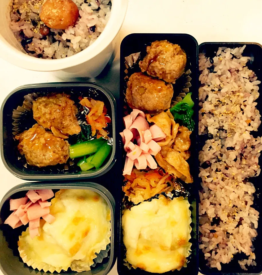 Snapdishの料理写真:お弁当5/23 酢豚風肉団子、ジャガイモのグラタン、焼肉、切り干し大根、小松菜炒め、花ハム|きささん