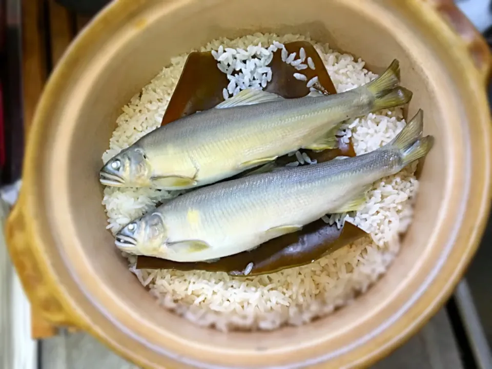 大失敗！アユの炊き込みご飯|つきっズ料理教室さん