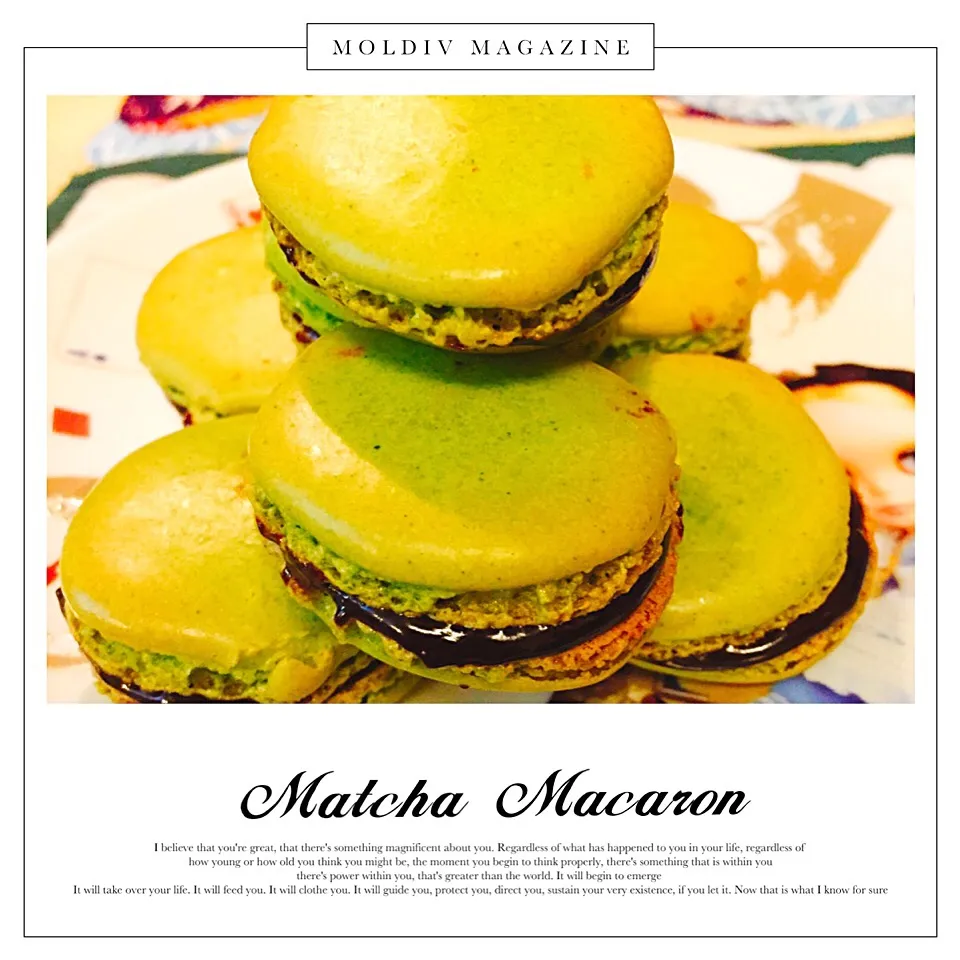 Matcha Macaron
✨抹茶マカロン✨|🌸Emery Mさん