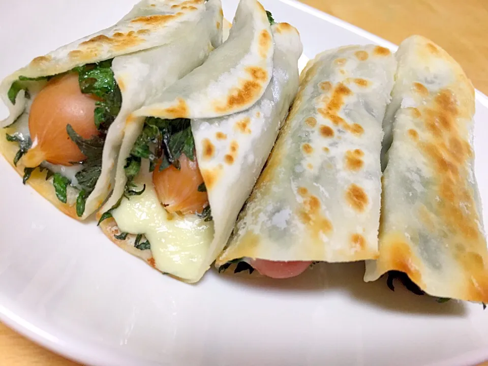 チーズと大葉とウインナーの餃子巻き|まおんさん