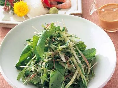 久保 香菜子さんの[薬味野菜のごまサラダ]|みんなのきょうの料理さん