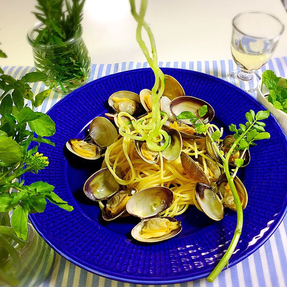 あさりスパゲティ
クルクル🌀ズッキーニで
野菜ヌードル
あさりの旨みたっぷりです♬|ゆかモンさん