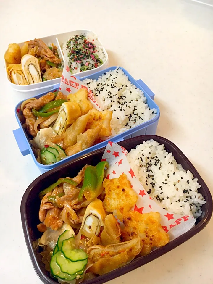 Snapdishの料理写真:今日のお兄ちゃん2人弁当〜と私夜勤弁当〜✨|Sayakaさん