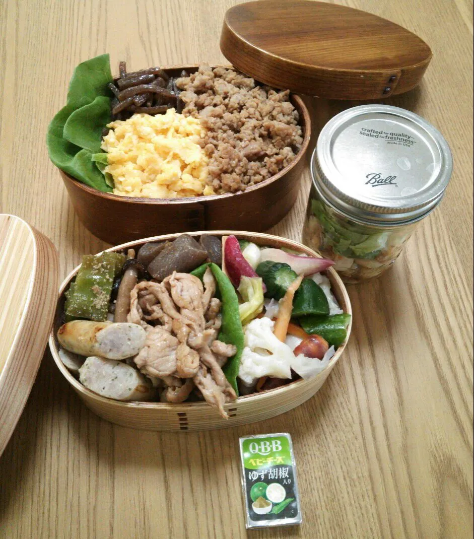 『糖質制限お弁当 ボンは手抜きの鶏そぼろ丼(￣▽￣;)』|seri-chanさん