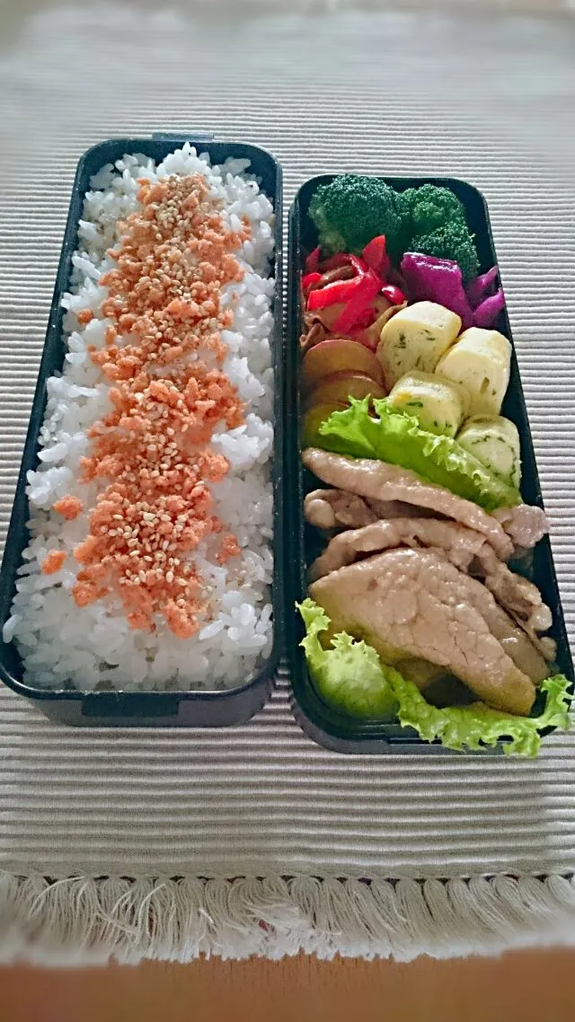 高２息子のお弁当|salalaさん