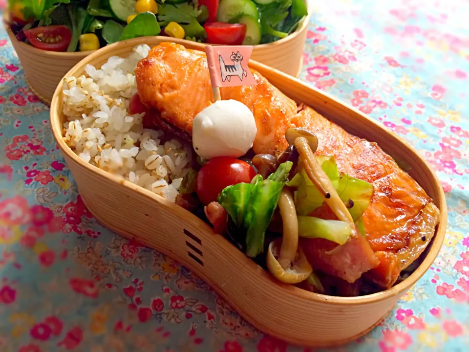 Snapdishの料理写真:今日のお弁当☆鮭弁当\(*ˊᗜˋ*)/♡20160526|たんさん