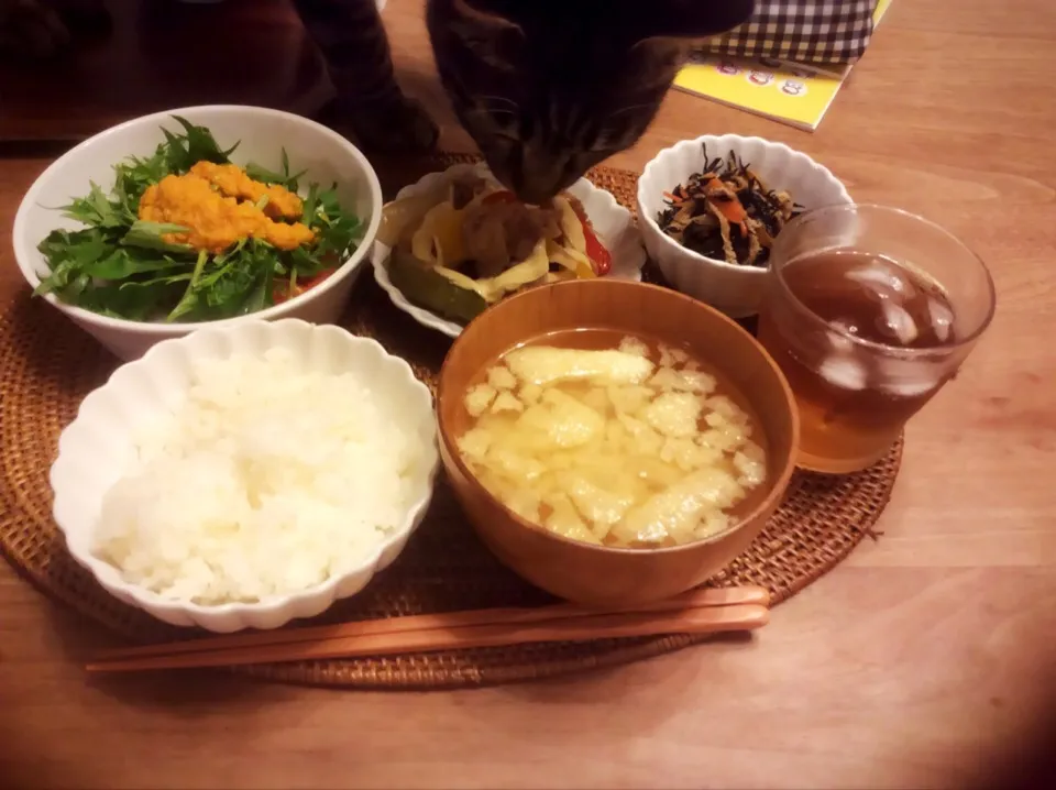 豚肉とカラーピーマン炒め🍴ヾ(;´Д`●)ﾉぁゎゎ|noⓂ︎さん