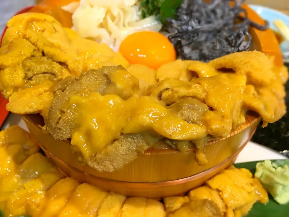 国産ウニ溢れ丼|てっどさん