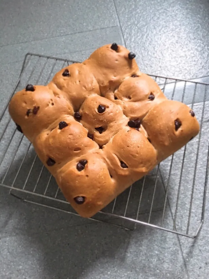 Snapdishの料理写真:チョコチップ ココアちぎりパン|弁当 備忘録さん