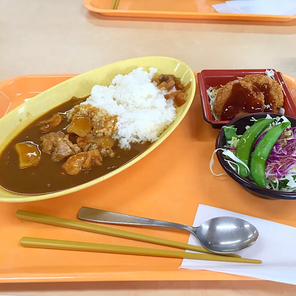 チキンカレーとチキンカツ、サラダ*\(^o^)/*|すかラインさん