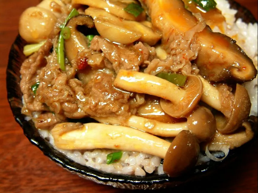 beef with assorted mushrooms over rice|steven z.y.さん