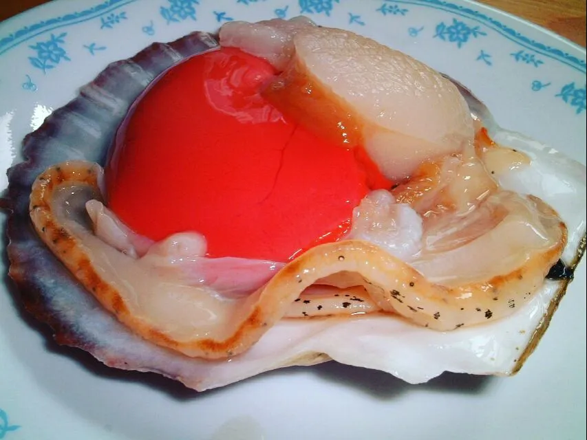 fresh scallop|steven z.y.さん