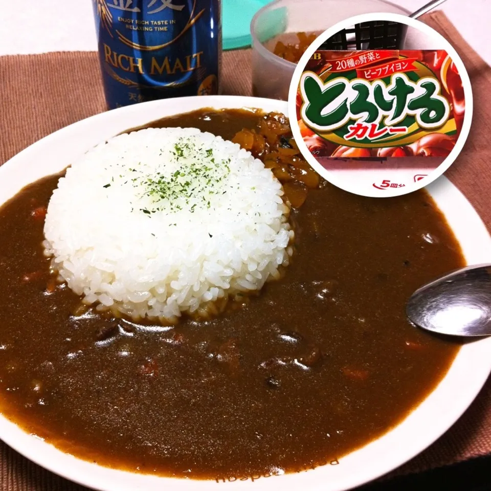 #16052703 S&B とろけるカレー 中辛 ¥180|dune725さん