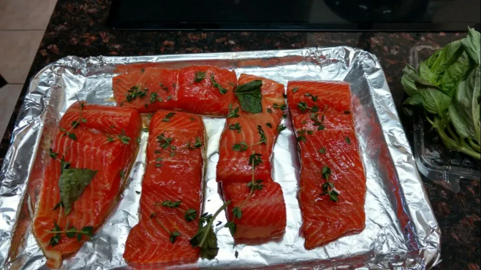 Homemade seasoned raw salmon|paulaさん