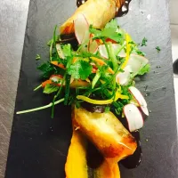 Snapdishの料理写真:Duck Spring Roll with crispy radish salad|Michael Kohlさん