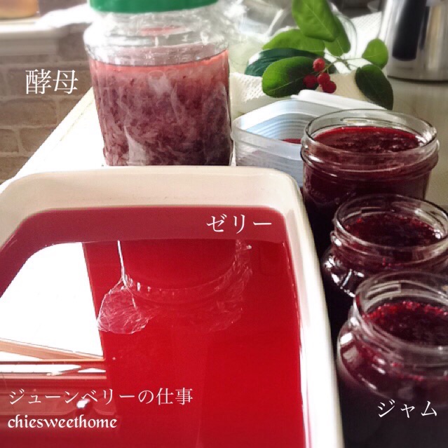 ジューンベリーの仕事 Chieko Snapdish スナップディッシュ Id 5huu9a