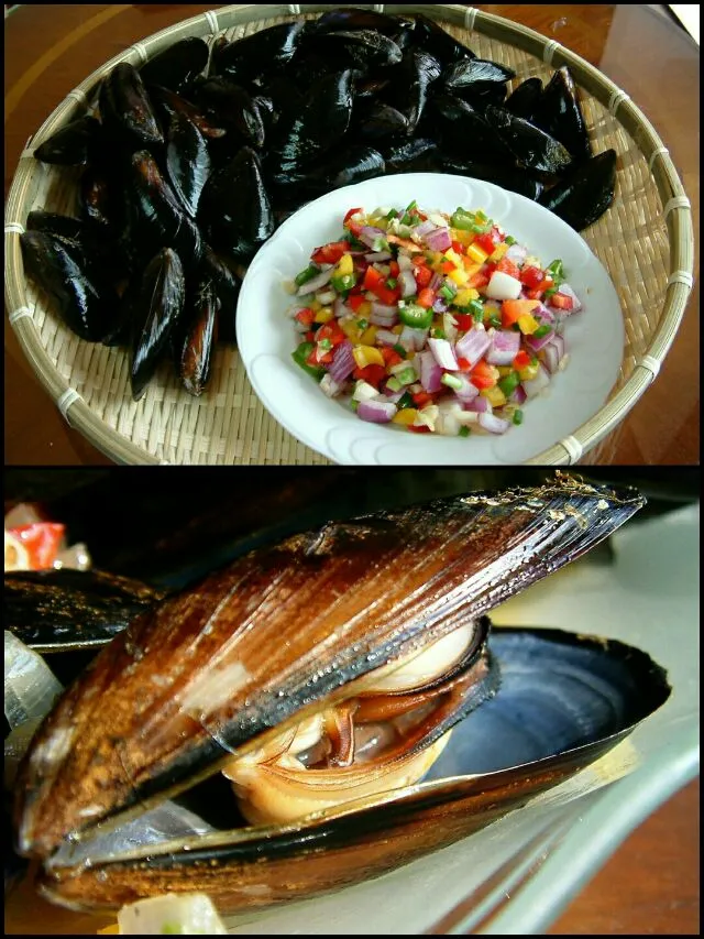 mussels|steven z.y.さん