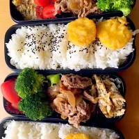 Snapdishの料理写真:0530-boys' lunch|Tamami Ishigakiさん