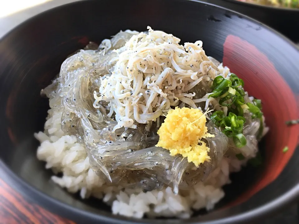 富士山盛り@田子の浦港漁協食堂|こぐまさん