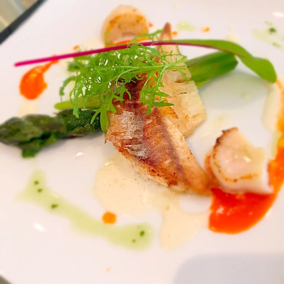 |Chiaki Mizuguchiさん