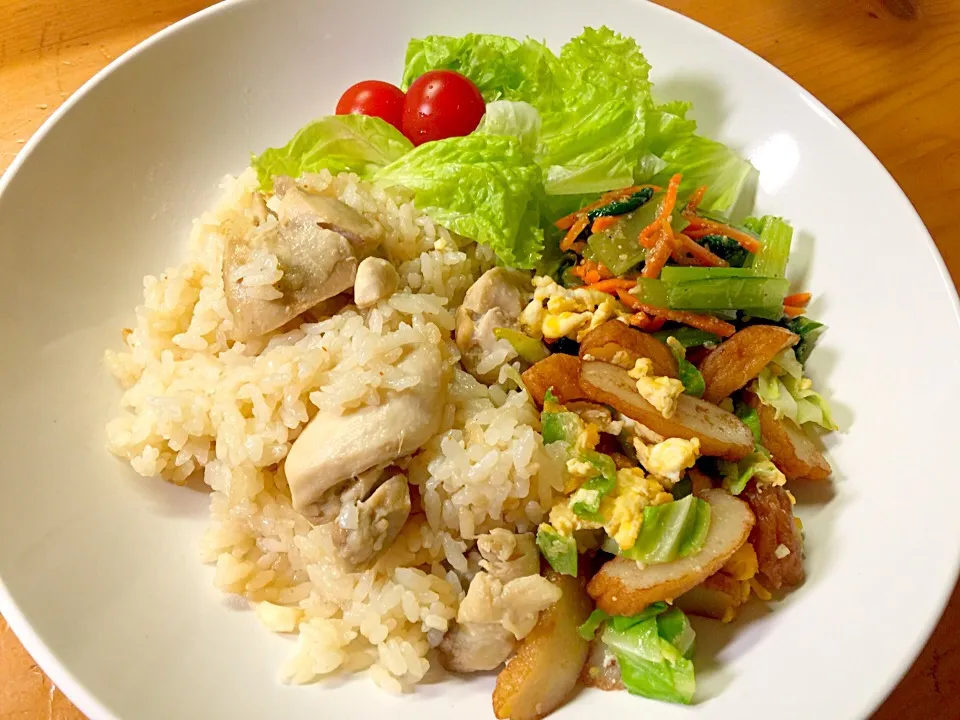 鶏肉ご飯のワンプレート|ルドルフさん