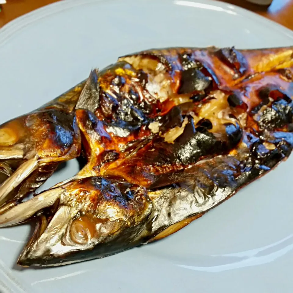 鯖の醤油漬けを焼いただけ～|ふりるさん