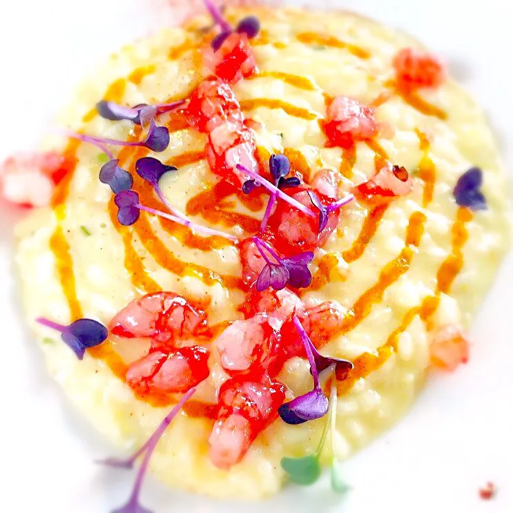 Lemon Risotto with Sicilian red prawns|laura giardinaさん