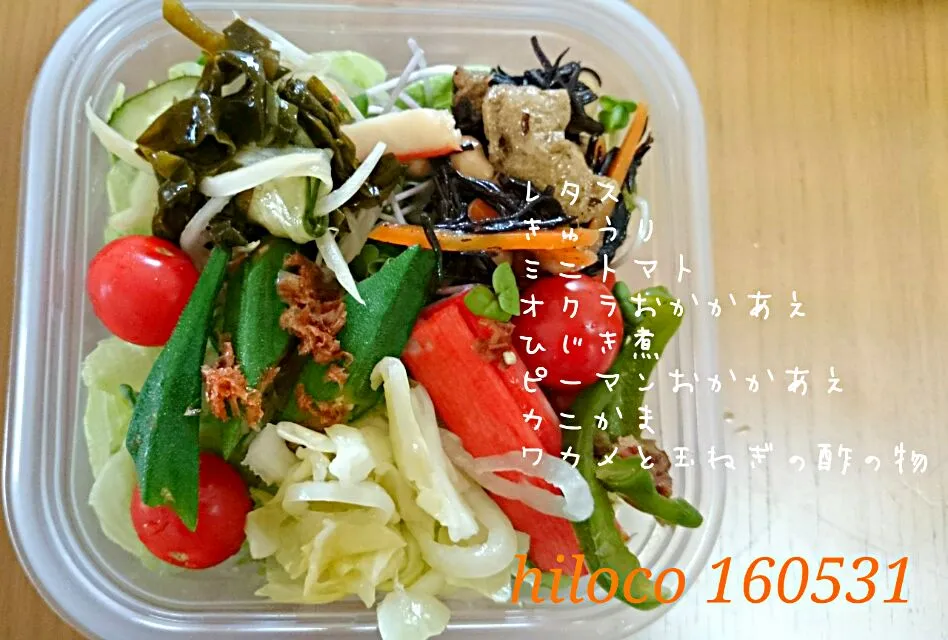 5*31 Salad Box|hilocoさん