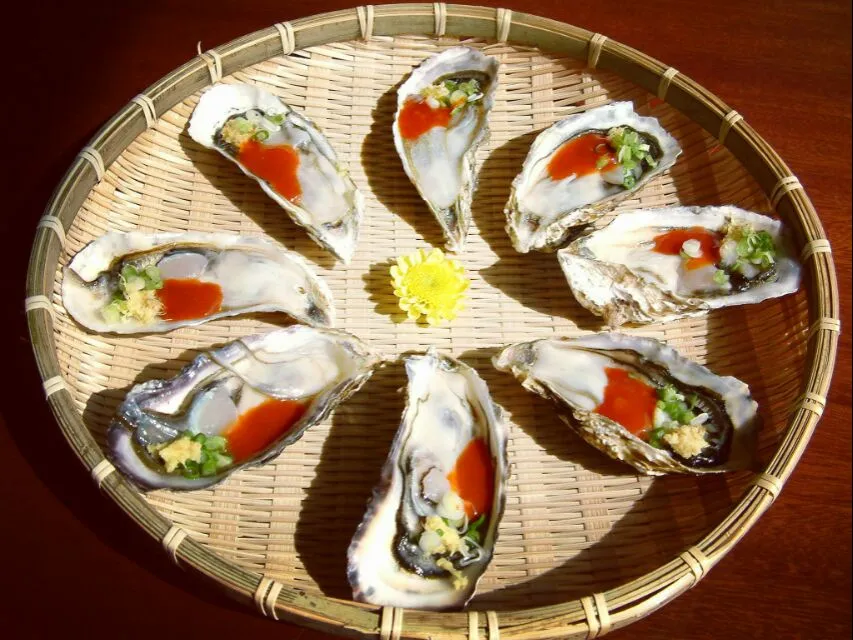 fresh oysters|steven z.y.さん