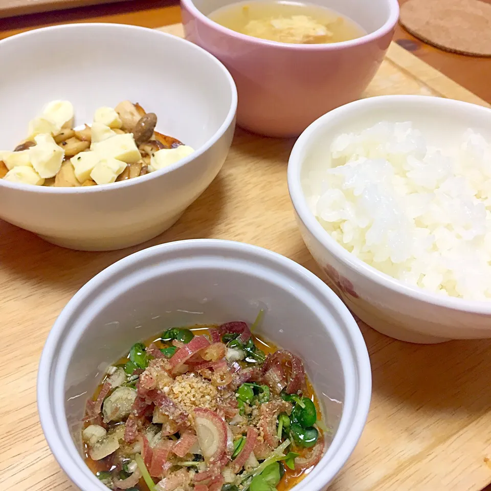 Snapdishの料理写真:ミョウガ、カイワレ、大葉、ネギの薬味飯！！食欲がない時の救世主！|miokoさん