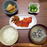 Snapdishの料理写真:和食ごはん❀✿|muu.さん