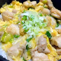 親子丼|アロエさん