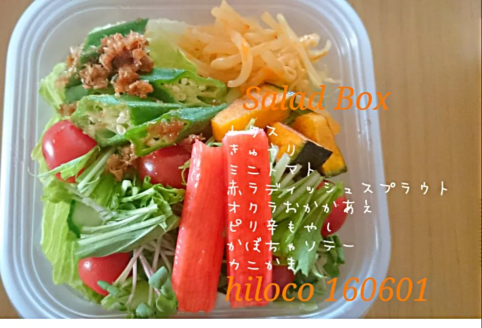 160601  Salad Box|hilocoさん