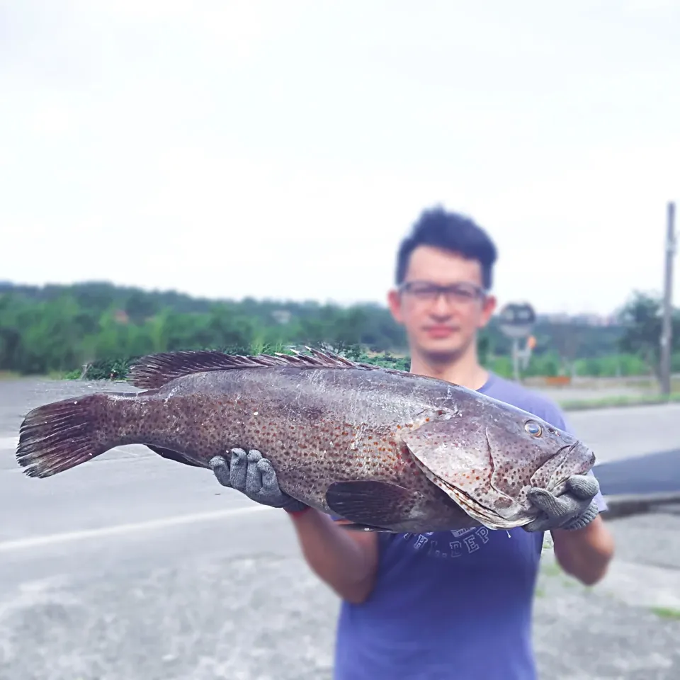 Snapdishの料理写真:本週有現撈鮮魚湯，直接下訂+1，明、後兩天寄出

你是我在找的客人嗎？

1、想喝鮮魚湯！
2、需要買魚湯給家人、長輩或朋友（孕婦、哺乳媽媽、剛開完刀的朋友。
3、不懂得挑新鮮的魚也不會料理魚。
3、超級討厭挑魚刺、小孩又愛吃魚。
4、一餐吃完的份量。$280/1人份
5、不喜歡外面賣的魚湯，味素加太多。

輝哥與魚船|Kate Huangさん