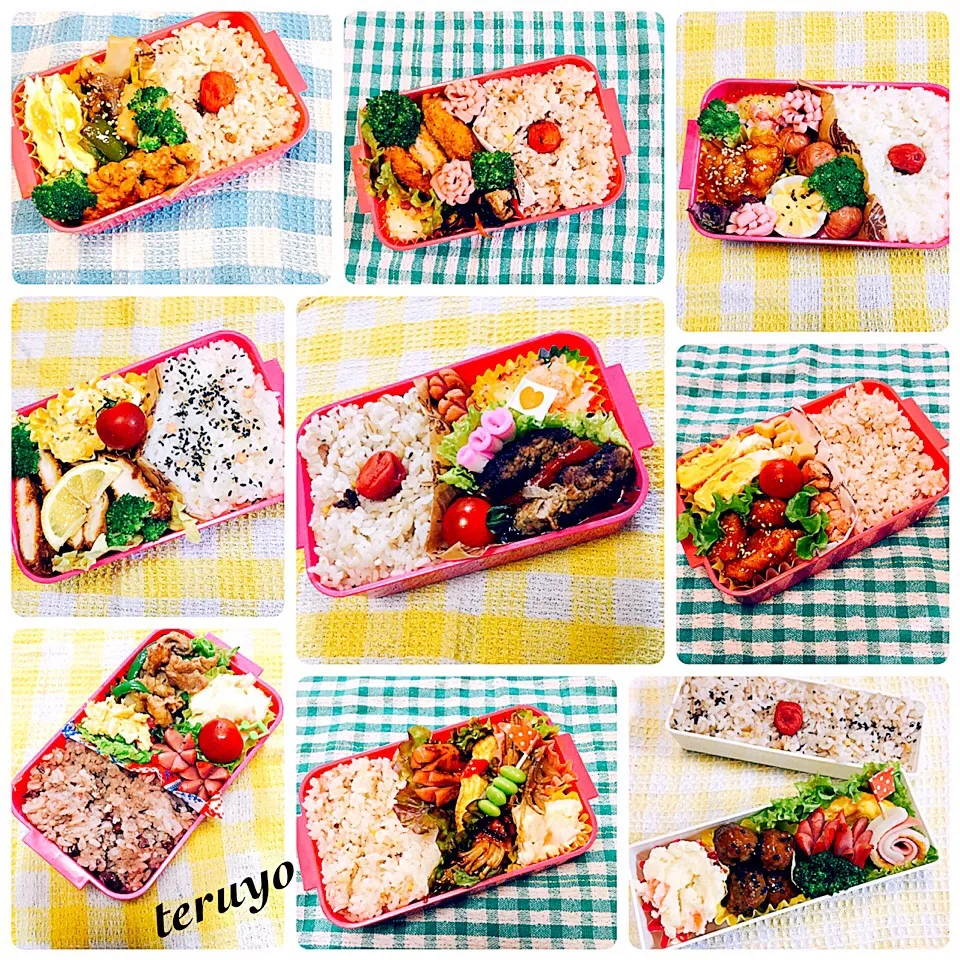 最近のお弁当✨🍙|teruyoさん