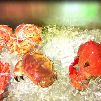 Snapdishの料理写真:French crabs|laumeikuanさん